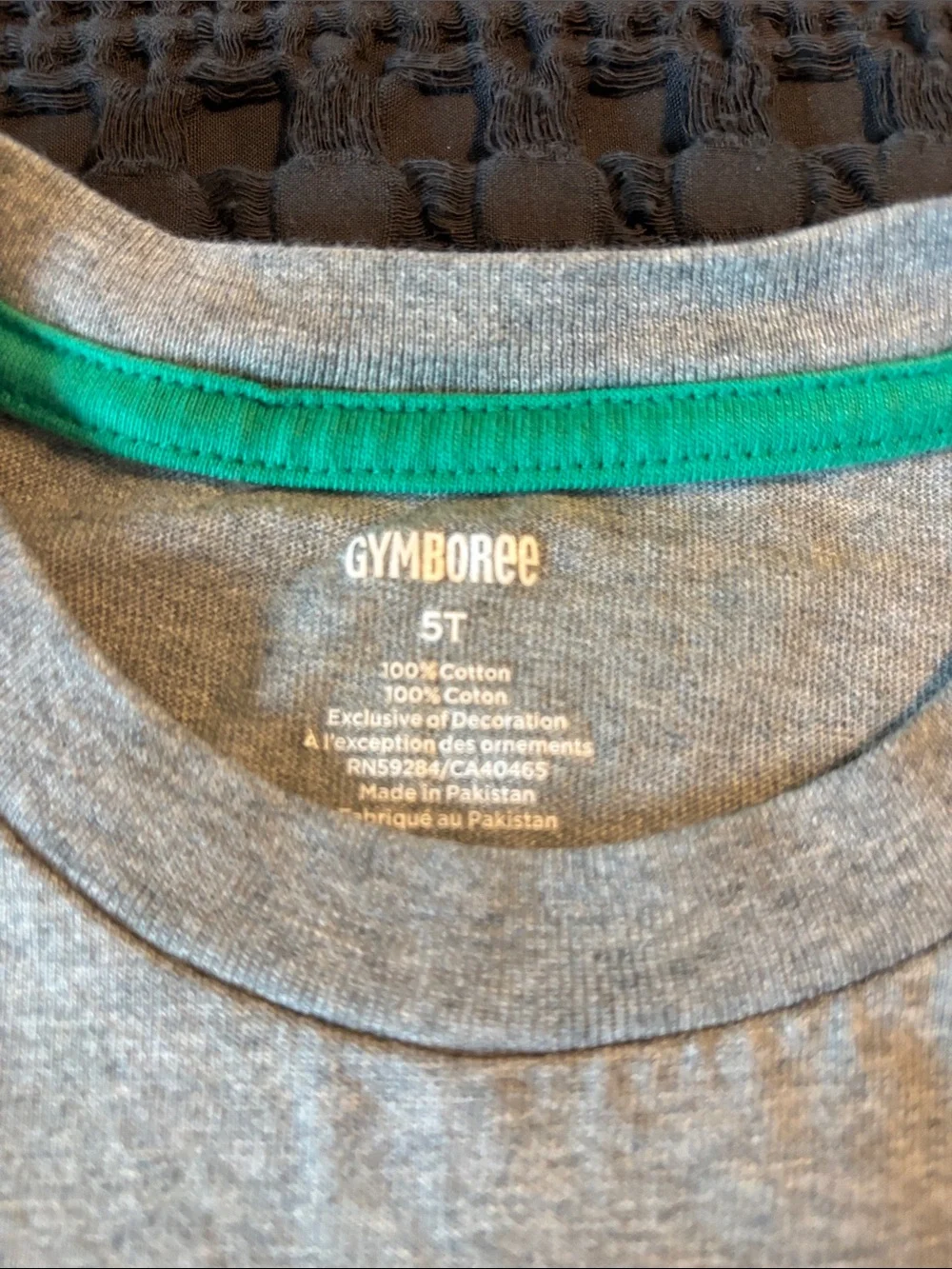 Gymboree Kids Gray T-Shirt with Green Dinosaur Graphic